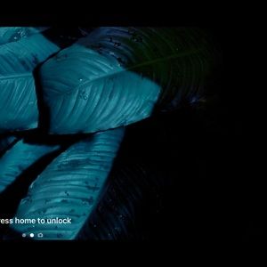 Meet your Posher, Denzel